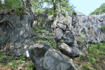 奧陶紀(jì)石林公園