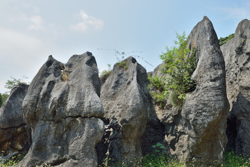 奧陶紀石林公園