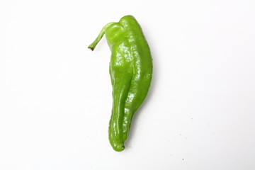 青椒