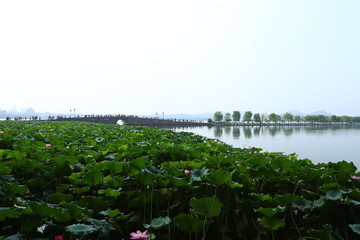 西湖斷橋