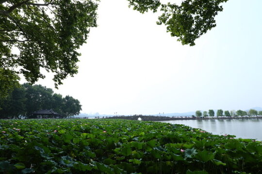 西湖斷橋