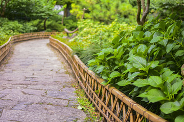 綠色走道