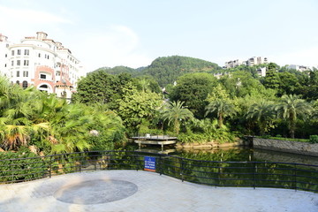 小區(qū)綠化