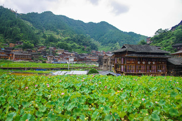 苗寨風(fēng)景