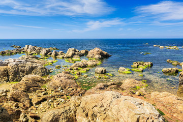 藍(lán)色大海