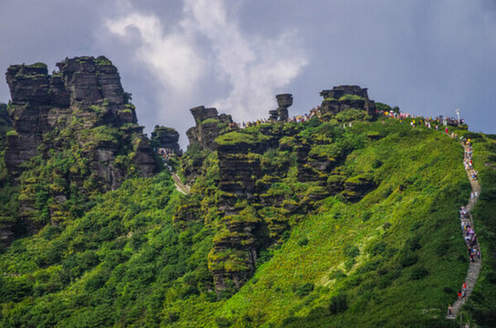 蘑菇山