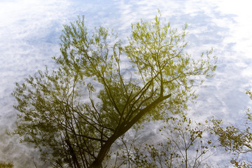 繁花似點(diǎn)