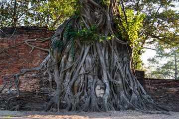 泰國(guó)大城遺址
