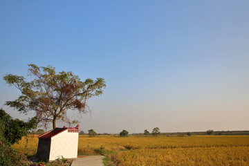 土地廟