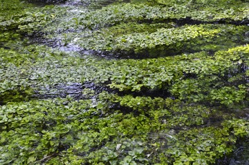 水磨河