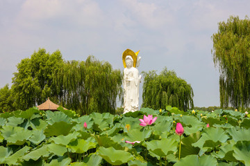 白洋淀荷花大觀園