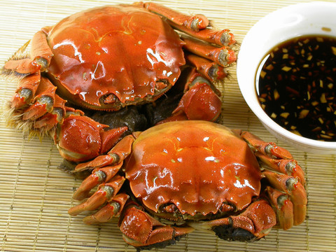 陽(yáng)澄湖美食