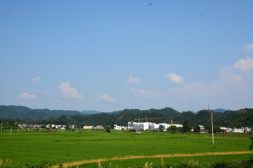 田園