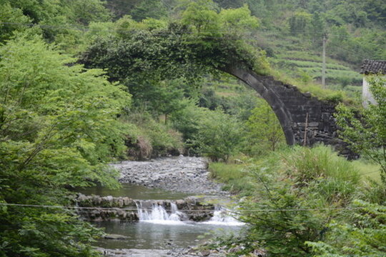 古橋