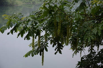 秋浦漁村