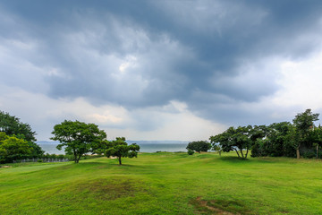 劉公島的藍天白云綠樹草坪風(fēng)光