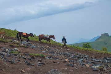 山坡上的牧馬人