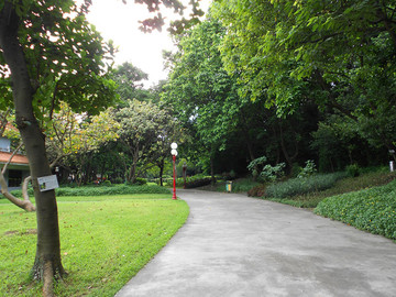 公園