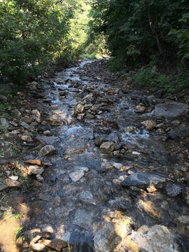 被水沖毀的小路
