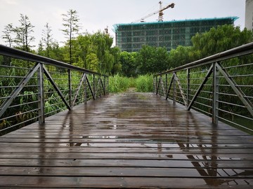 暴雨過后
