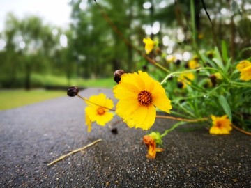 暴雨過后