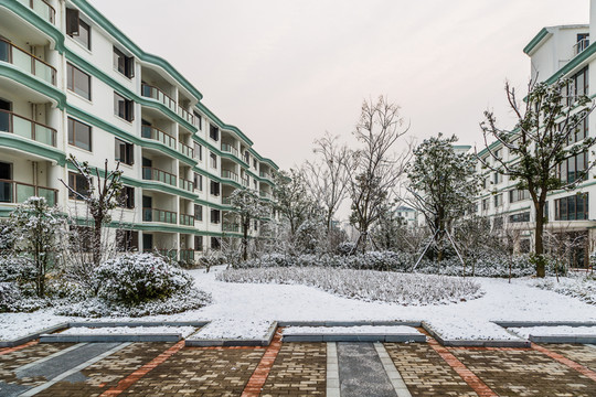雪中的社區(qū)