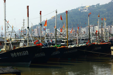象山石浦漁港海面漁船