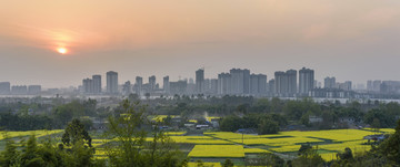 油菜花鄉(xiāng)村城市背景