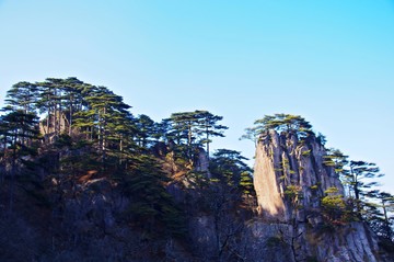 黃山