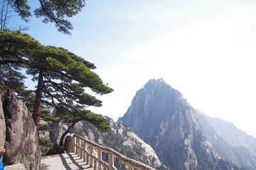 黃山