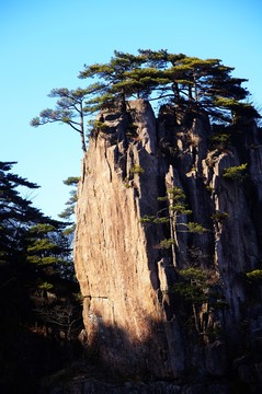 黃山