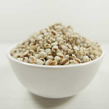 薏仁米薏米