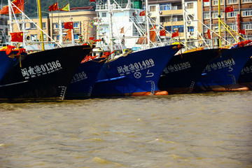 象山石浦漁港海面