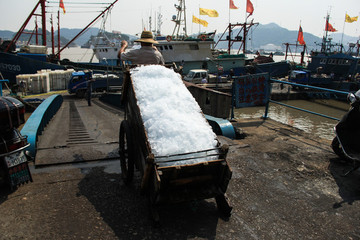 象山石浦漁港漁船裝載冷藏冰塊