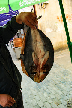 鯊魚干