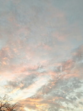 夕陽