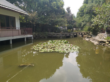 都江堰風景