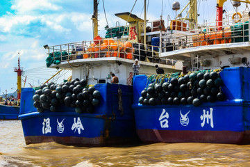 象山石浦漁港漁船