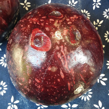 椰子