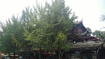 都江堰景區(qū)
