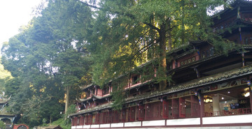 青城山景區(qū)