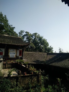 青城山風(fēng)景