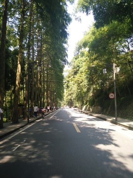 青城山景區(qū)