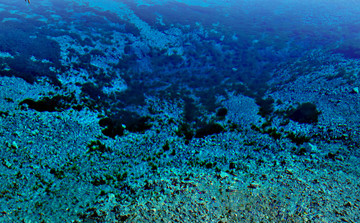 海水