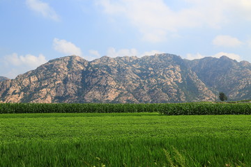 北方田園風(fēng)光
