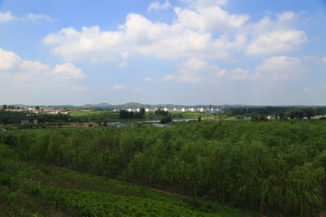 田園風(fēng)光