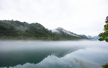 霧景