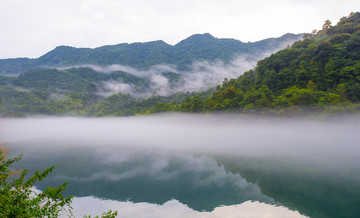 霧景