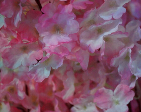 婚慶現(xiàn)場(chǎng)的花