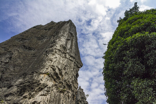 云南石林景區(qū)風(fēng)光